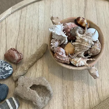 Bordal Casa Da Areia פורטו סנטו
