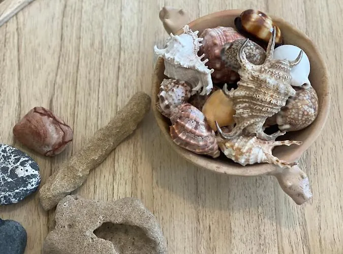 Bordal Casa Da Areia Porto Santo