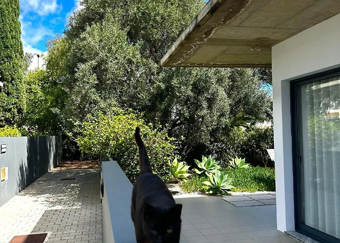 Bordal Casa Da Areia * Porto Santo