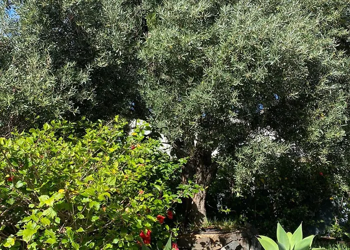 Bordal Casa Da Areia